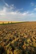 agricultural landscape