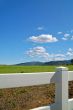 verdant spring landscape