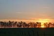 landscape silhouette