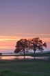landscape silhouette