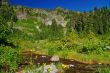 Mountain Meadow