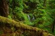 Waterfall in the forest