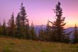 Mountain Meadow