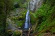 Waterfall in the forest