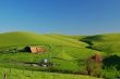 agricultural landscape