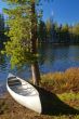 canoe by the river