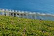 Coastal Views