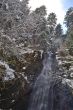 snowy waterfall