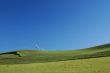 field and windmills