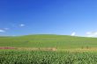 spring countryside