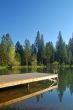 springtime lakeshore