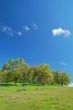 spring countryside
