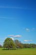spring countryside