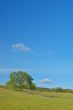 spring countryside