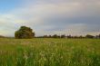 spring countryside