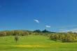 spring countryside
