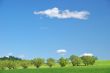rural spring countryside