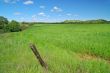 rural spring countryside