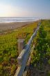 Point Reyes Seashore