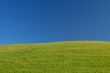 rural spring countryside