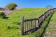 springtime coastal meadow