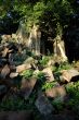 Ruin at Beng Mealea, Cambodia
