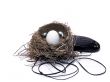 egg listening to music