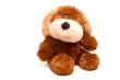 Toy dog