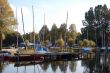 boats in the water