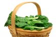 Freshly picked chard (clipping path included)