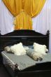 Antique bed