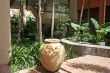 Tropical architecture