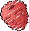 Raspberry