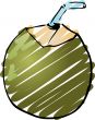 Young coconut