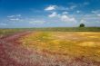 colourful salt lake