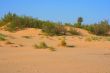 Sand dune