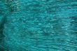 green wall background