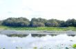 Lotus Lake