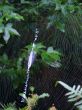 Spider Web
