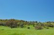 spring countryside