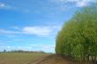 rural countryside