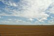 agricultural field