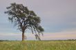spring countryside