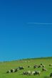 rural countryside