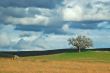 rural countryside