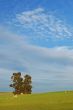 rural countryside