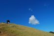 Mt. Tamapalais