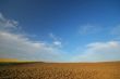 agricultural landscape