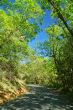 road in the spring