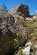 Mountains in springtime